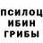 Псилоцибиновые грибы Psilocybine cubensis Bohdan 36
