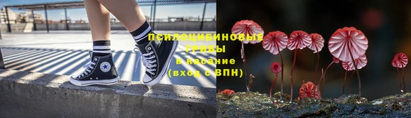 не бодяженный Белокуриха